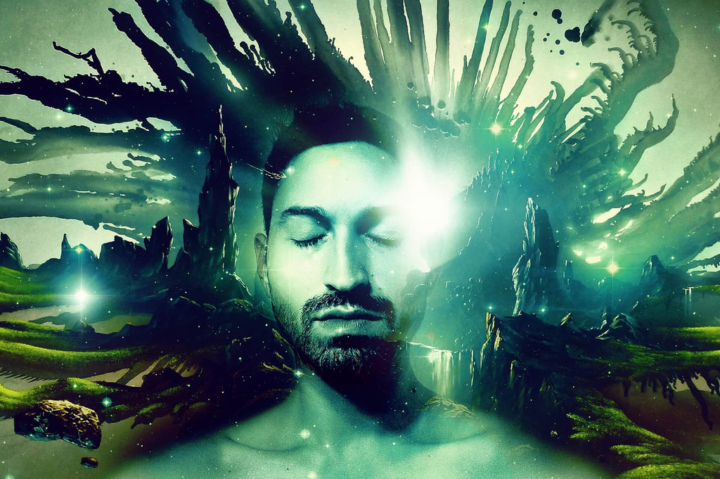 Lucid Dreaming