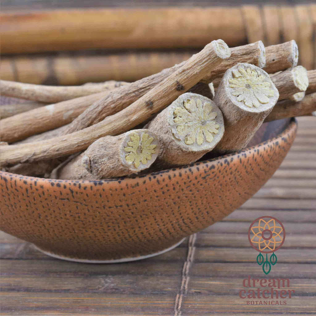 African Dream Root Tea Plant Leaf Flowers Roots Silene Capensis Undulata LUCID DREAM HERB Lucid Dreaming Dream Recall Prophetic Dreams Clairvoyance Shamanic Dream Clarity