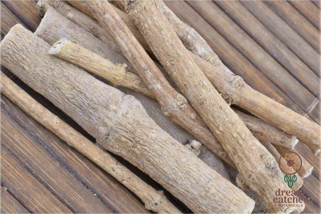African Dream Roots tea  Silene Capensis LUCID DREAM HERB Lucid Dreaming Dream Recall Prophetic Dreams Clairvoyance Shamanic Dream Clarity