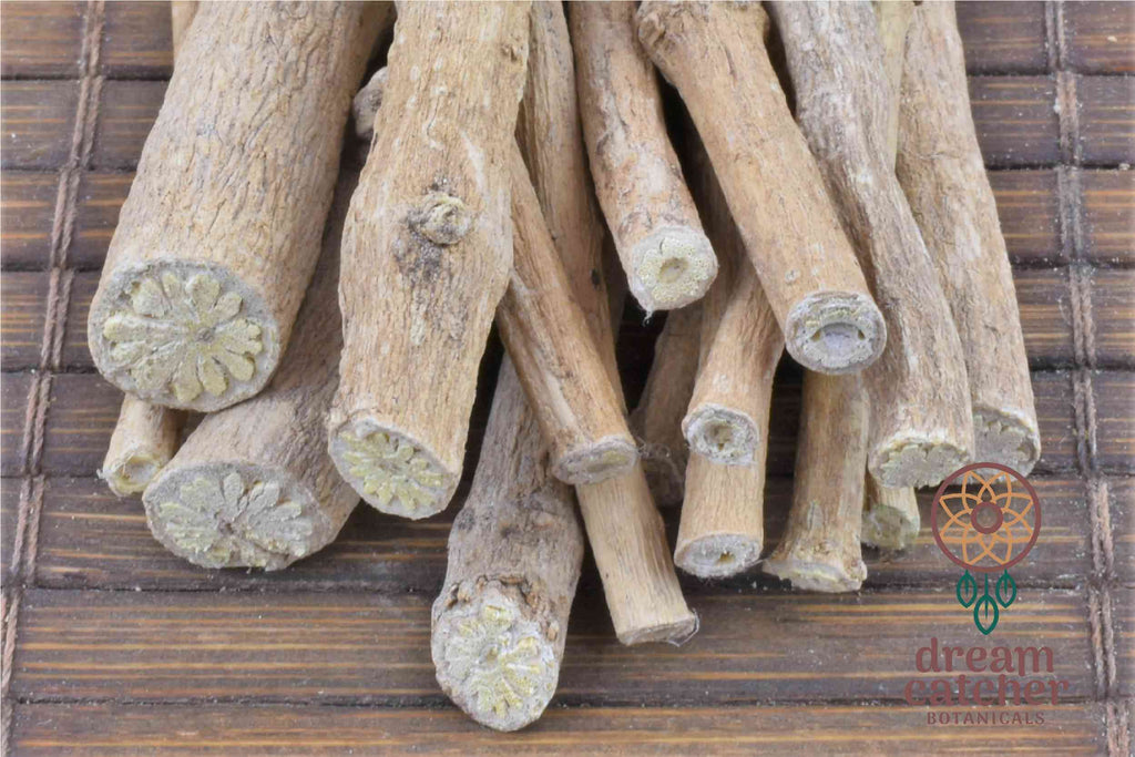 African Dream Herb Large Pieces Silene Capensis LUCID DREAM HERB Lucid Dreaming Dream Recall Prophetic Dreams Clairvoyance Shamanic Dream Clarity