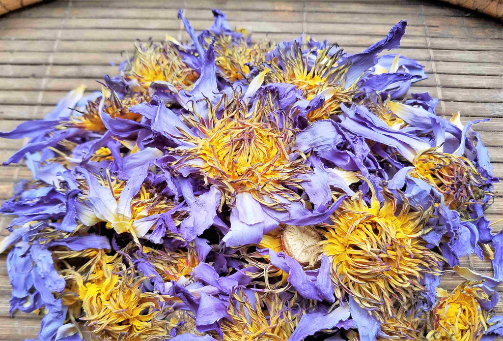 Fresh Whole Blue lotus Nymphaea caerulea blue lily of the Nile LUCID DREAM HERB