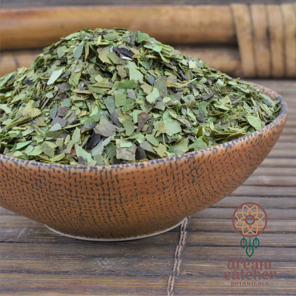 Guayusa Dream Tea Ilex guayusa LUCID DREAM HERB