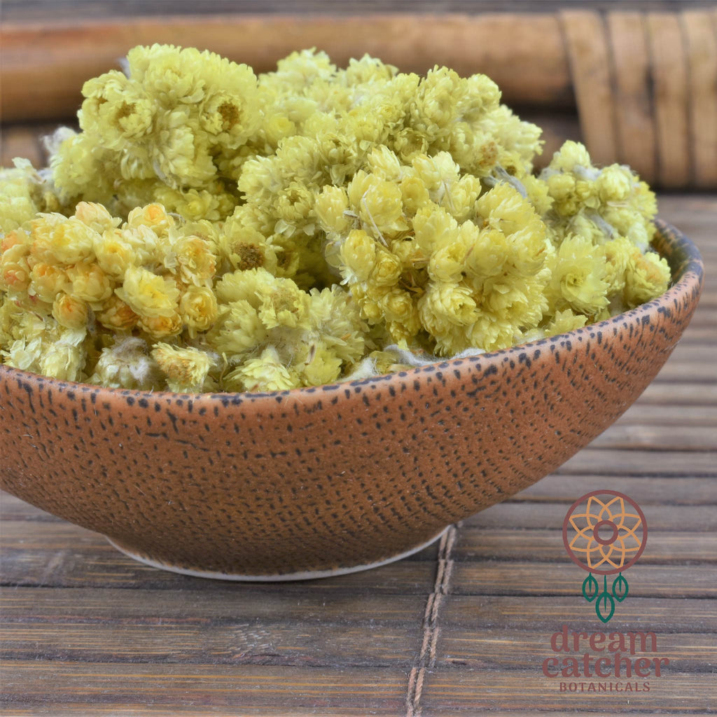 Immortelle Flowers Helichrysum stoechas. Organic Immortelle/Helichrysum for Lucid Dreaming, Dream Clarity, Shamanism, Meditation Practices, Relaxation and Nightmares. DREAM HERB