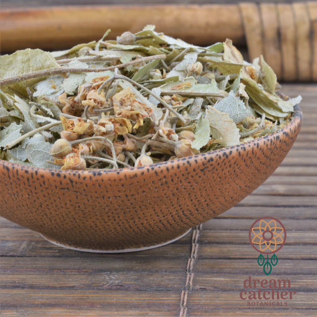 Linden Flowers Tilia Europa Tilia Spp LUCID DREAM RELAXING SLEEP HERB