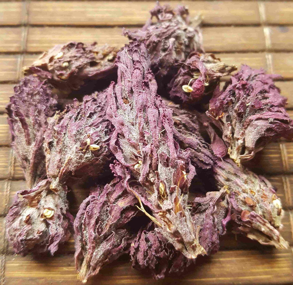 Indian Warrior Dried Flower Buds Pedicularis densiflora