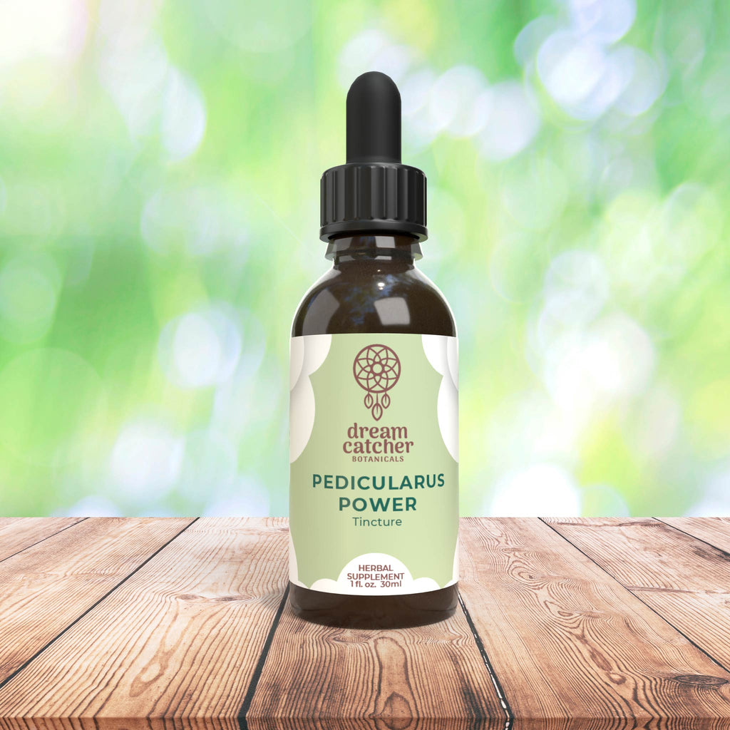 Pedicularis Power Tincture Parrots beak, Indian Warrior, Cobras Head, Elephants Head RELAXING SLEEP HERB